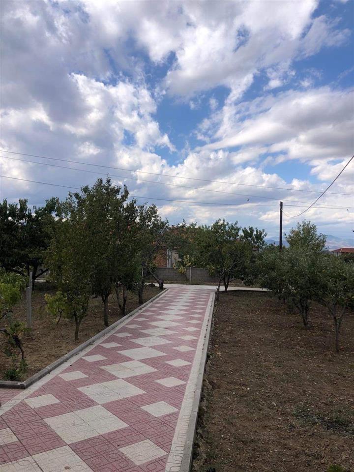 Shtepi me qera Korce