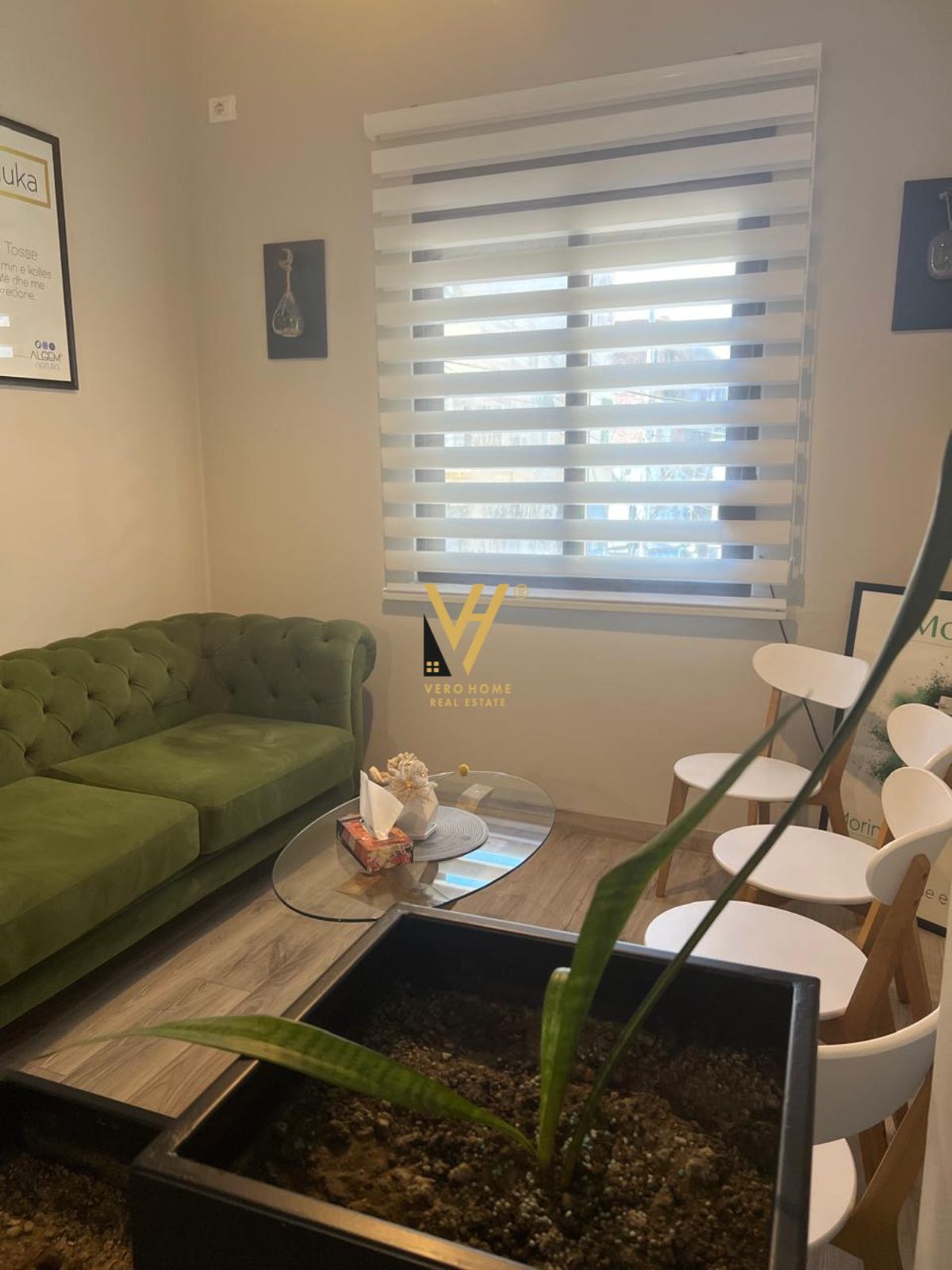 ZYRE TEK STADIUMI DINAMO 800 EURO