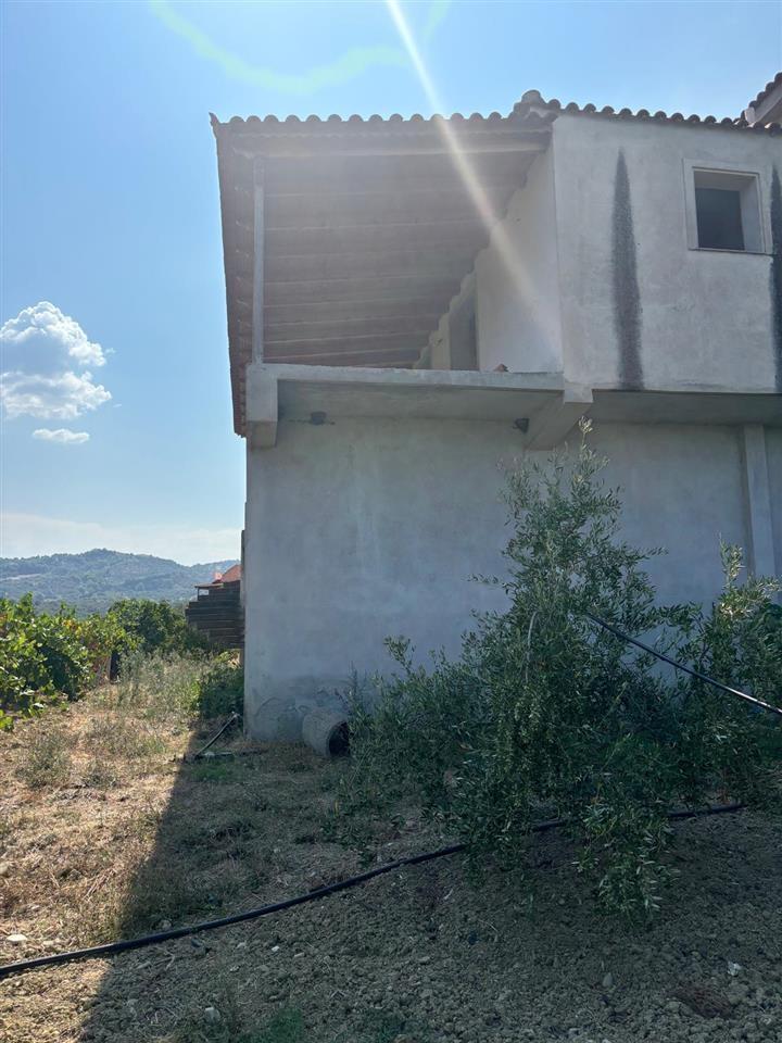 Shitet vil ne fshatin Vlosh Fier