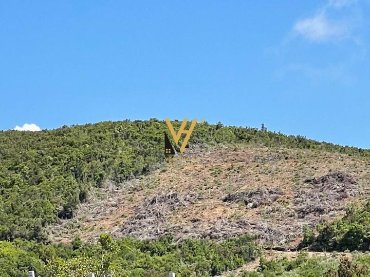 TOKE 5000 M2 NE SPILLE 200.000 EURO