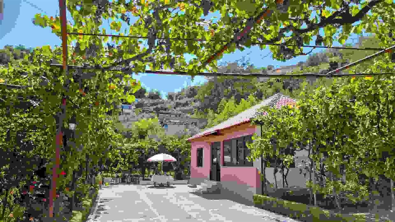 Shitet shtëpi private bashke me tokè rrethuese.