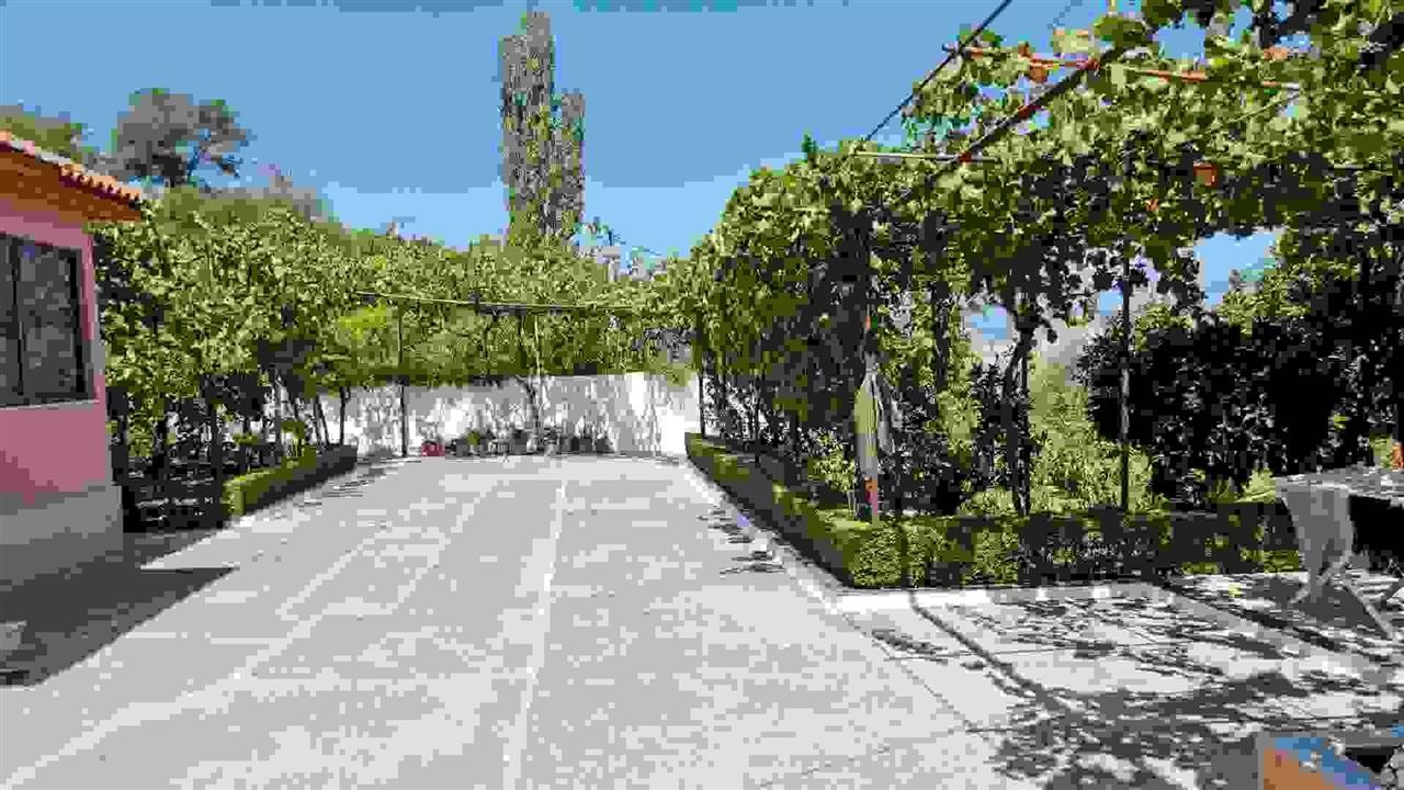 Shitet shtëpi private bashke me tokè rrethuese.