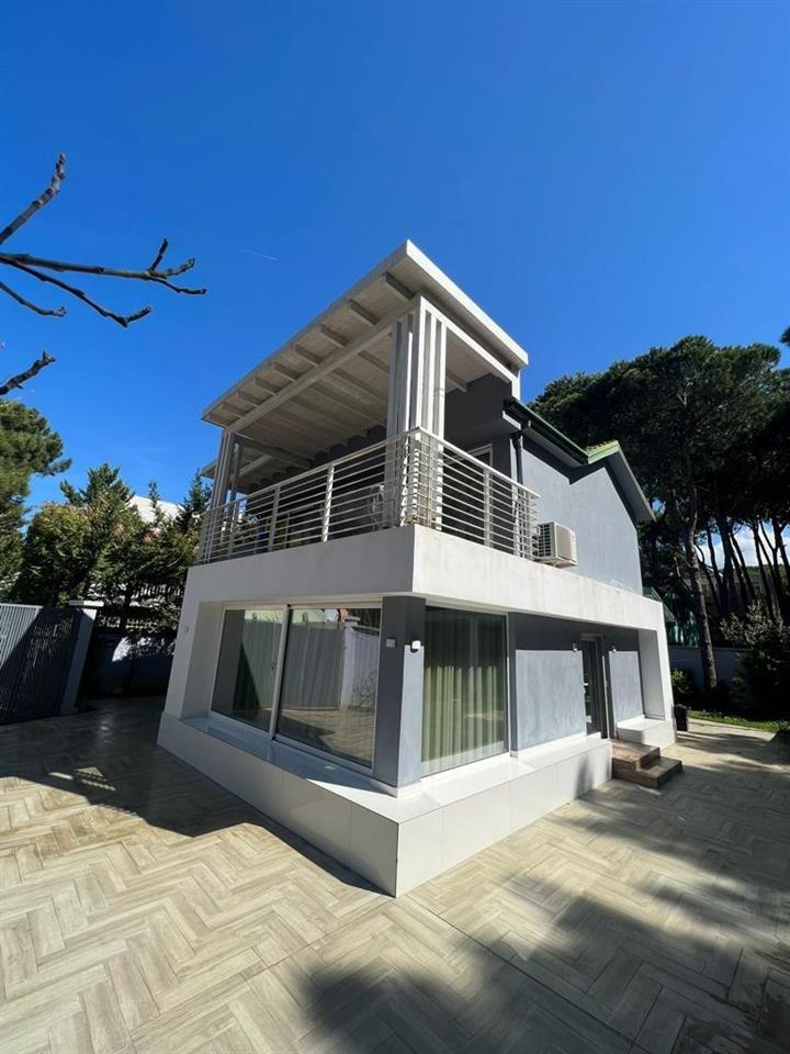 SHITET VILE NE QERRET SHUME PRANE DETIT !