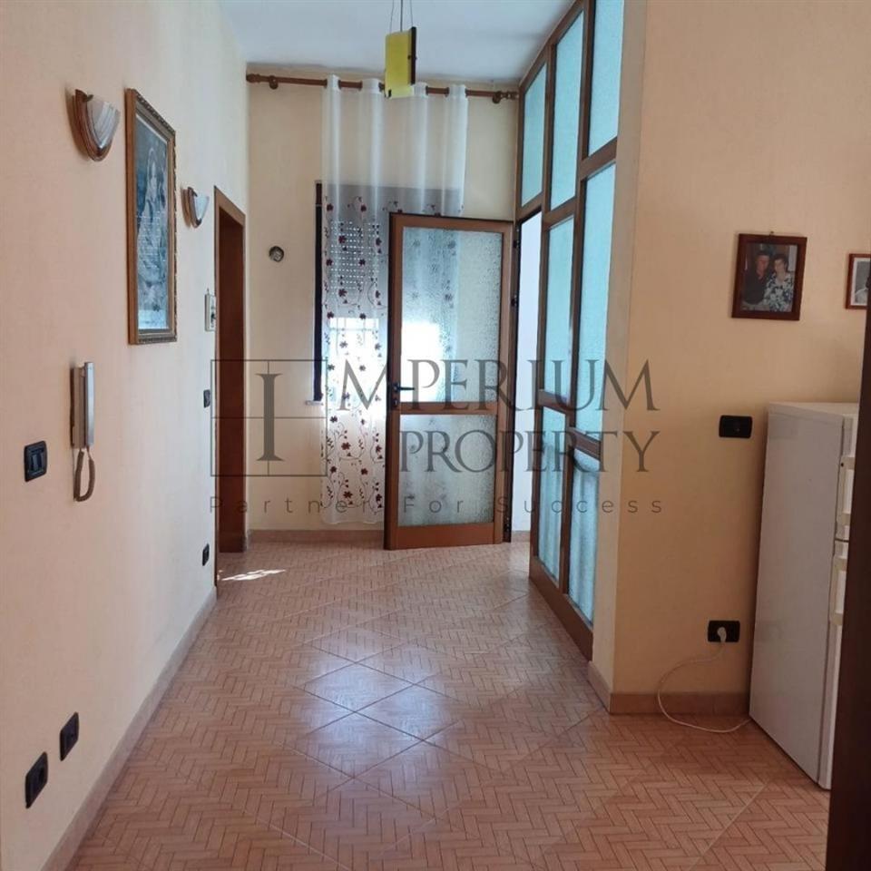 SHITET VILE 2 KATESHE