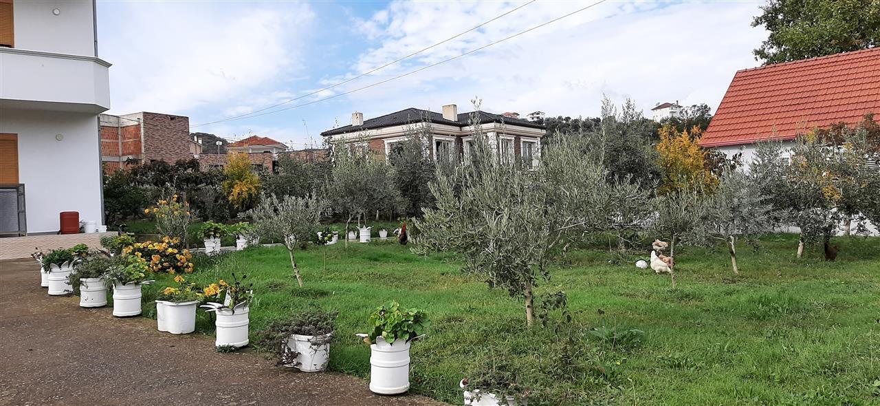 Teg prane, jepet vila me qera