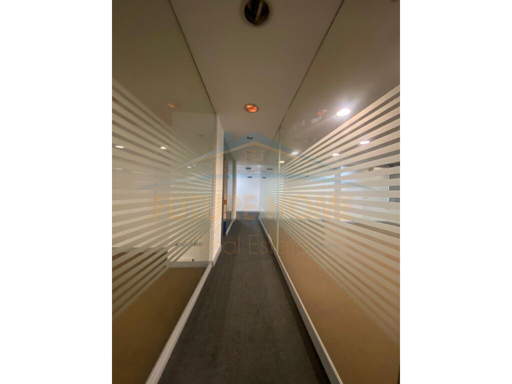 Qira, Ambient per zyra, Zogu i Zi