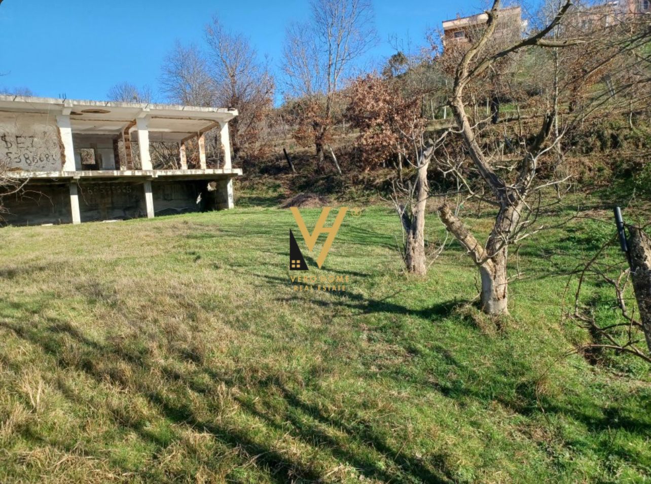 SHITET TOKE ARE  3000 M2 NE VORE 60.000 EURO