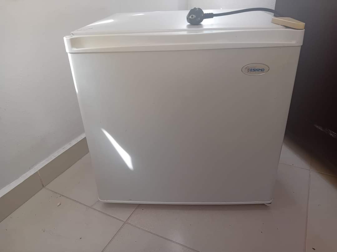 Shitet: Mini frigorifer “ESKIMO”