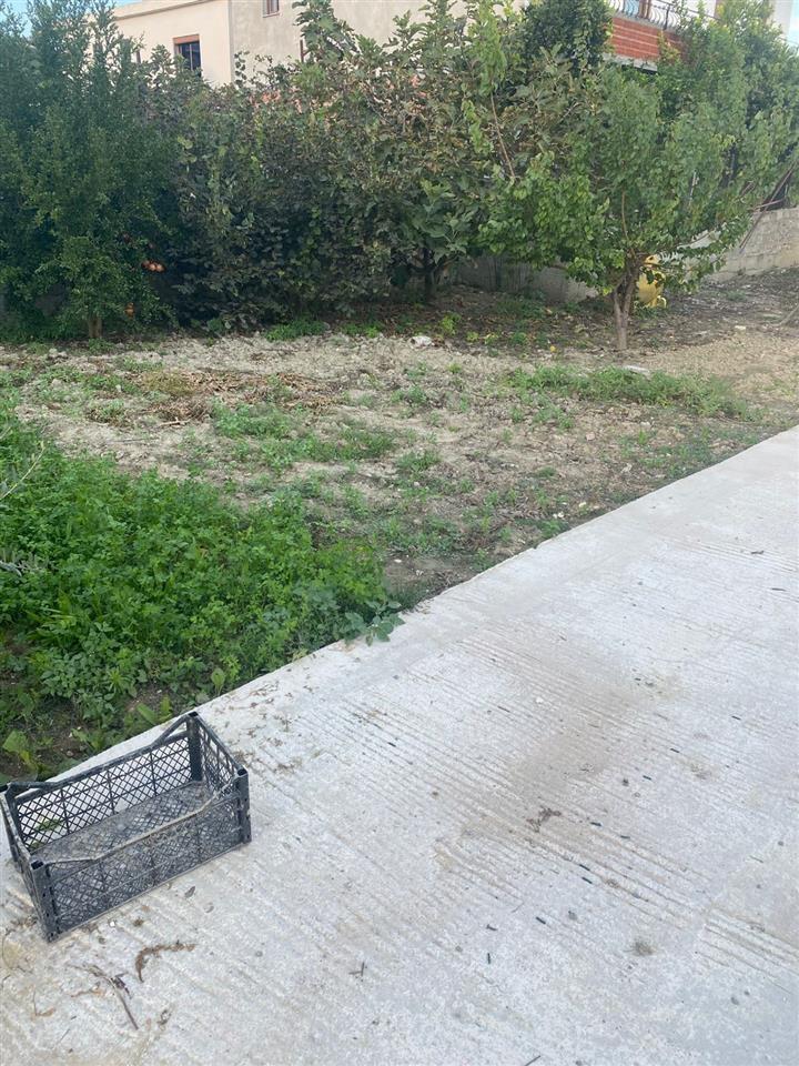 SHITET SHTEPI PRIVATE E PA PERFUNDUAR VETEM KOLLONAT JA