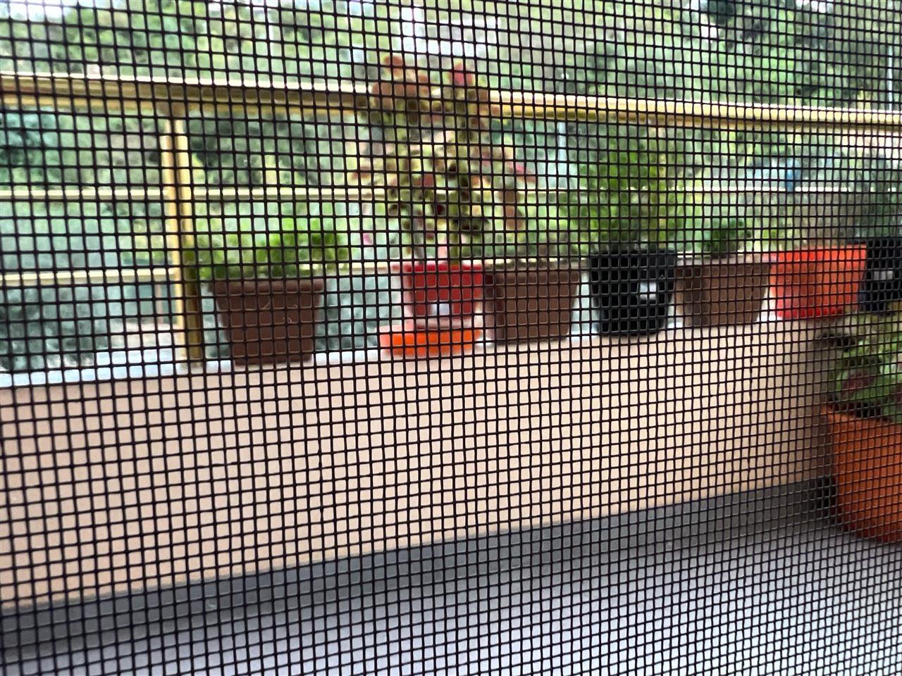 SHITET APARTAMENT 2+1+2 + 2 BALLKONE NE FRESK