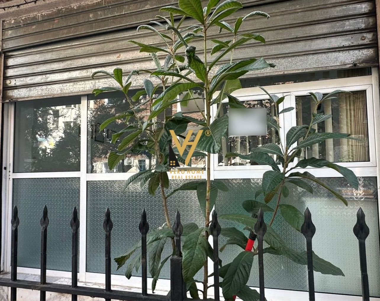 KLINIKE DENTARE ME QERA TE RR HIM KOLLI 300 EURO