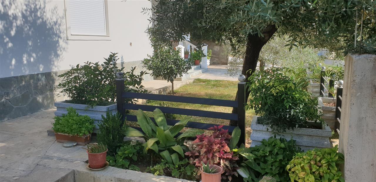 Okazion, jepet me qera 4+1