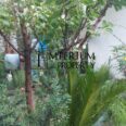 SHITET SHTEPI PRIVATE 1+1 DURRES