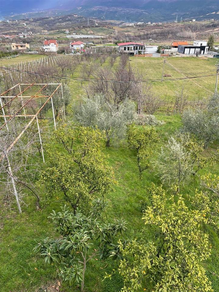 Vile me qera 3+1, Berzhite, Tirane