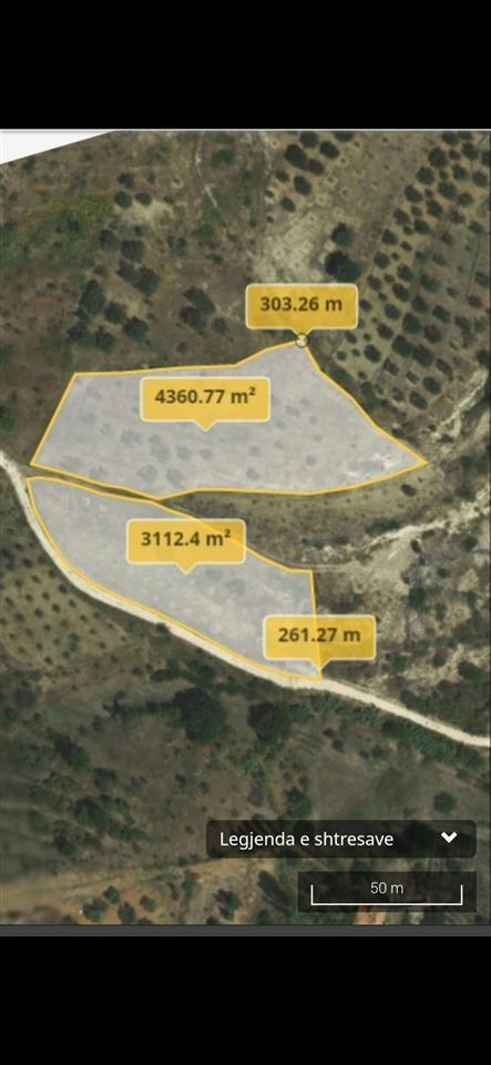 Shitet Toke ,7500 m²