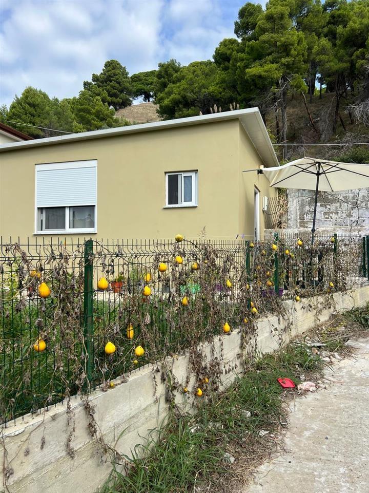 JEPET ME QERA 1+1 TEK SHKOLLA GREKE DURRES!