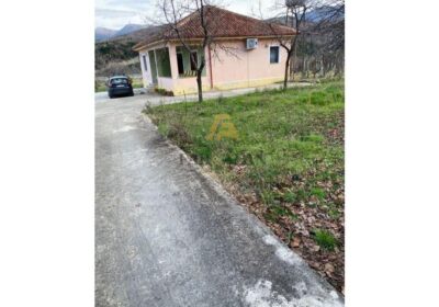 SHTEPI+TOKE NE SHITJE NE BERZHITE