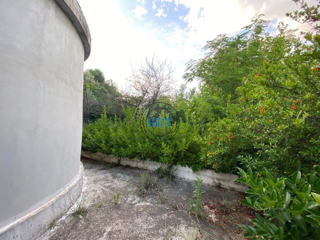 Shitet, Shtepi Private, Prane Shkolles “Hajdar Dushi”, Durre