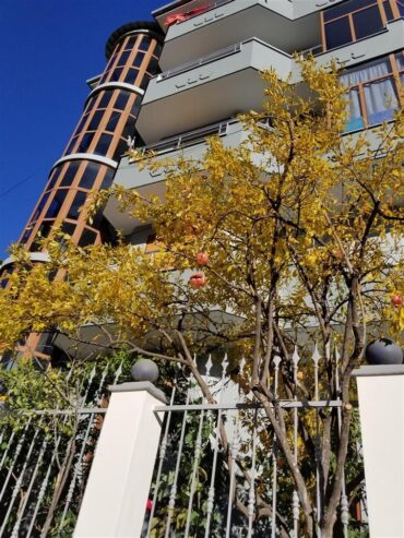 Jap me qera Vile 4 katëshe+papafingo+garazh, 3500 Euro/muaj