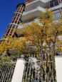 Jap me qera Vile 4 katëshe+papafingo+garazh, 3500 Euro/muaj