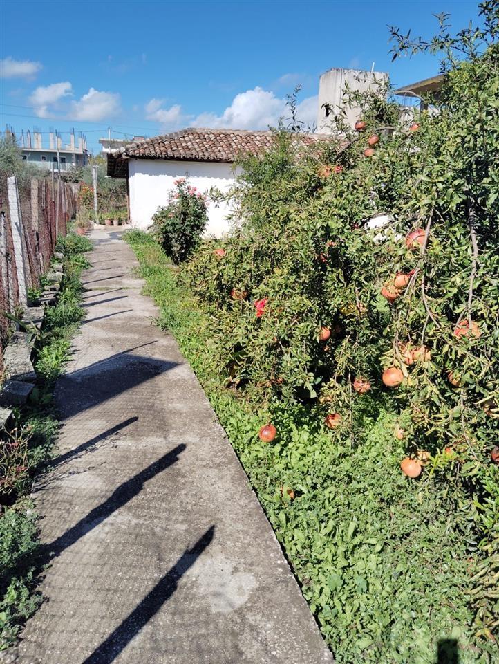 Shtepi ne shitje Fier