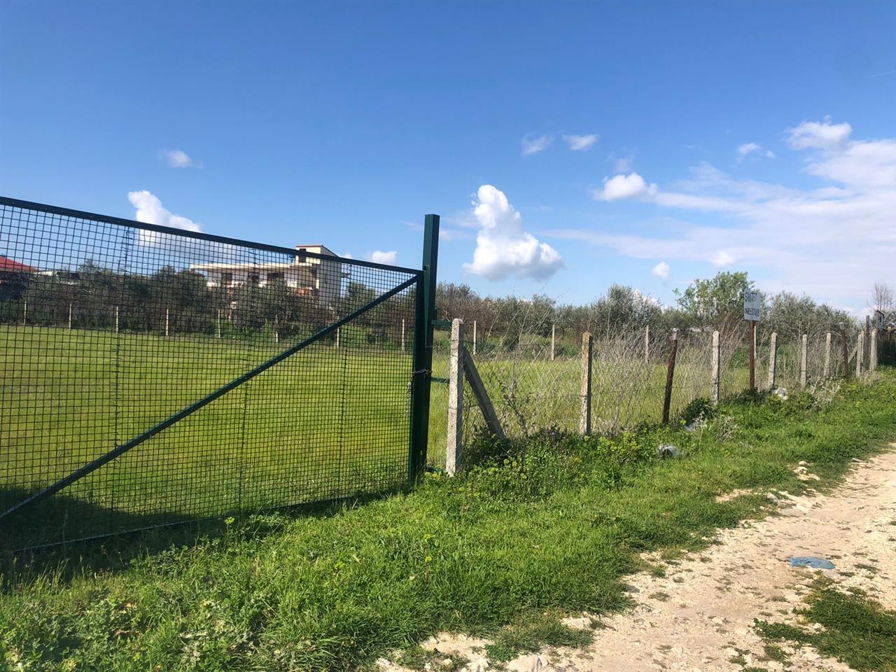 Shitet Toke Bujqesore +73 metra truall