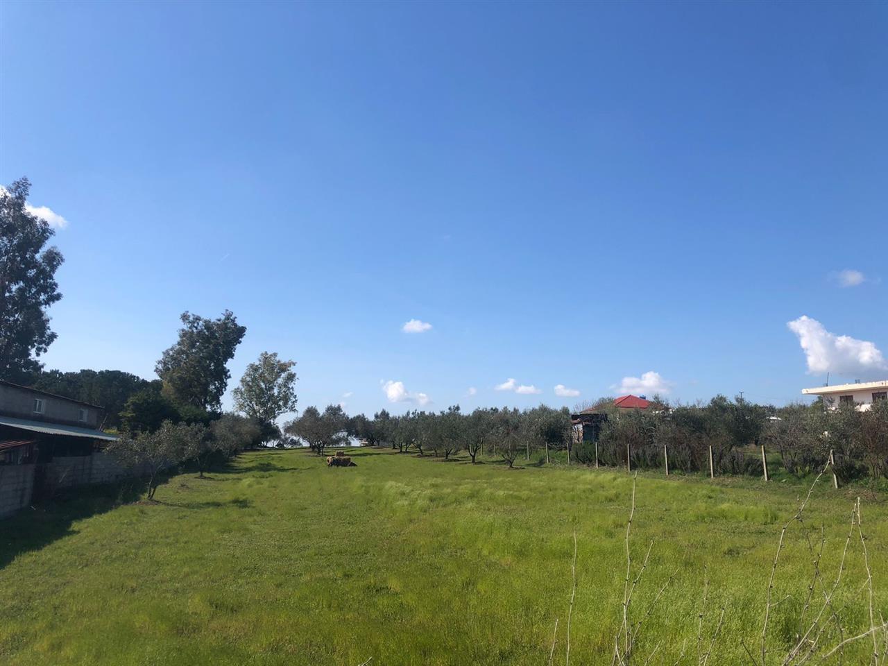 Shitet Toke Bujqesore +73 metra truall