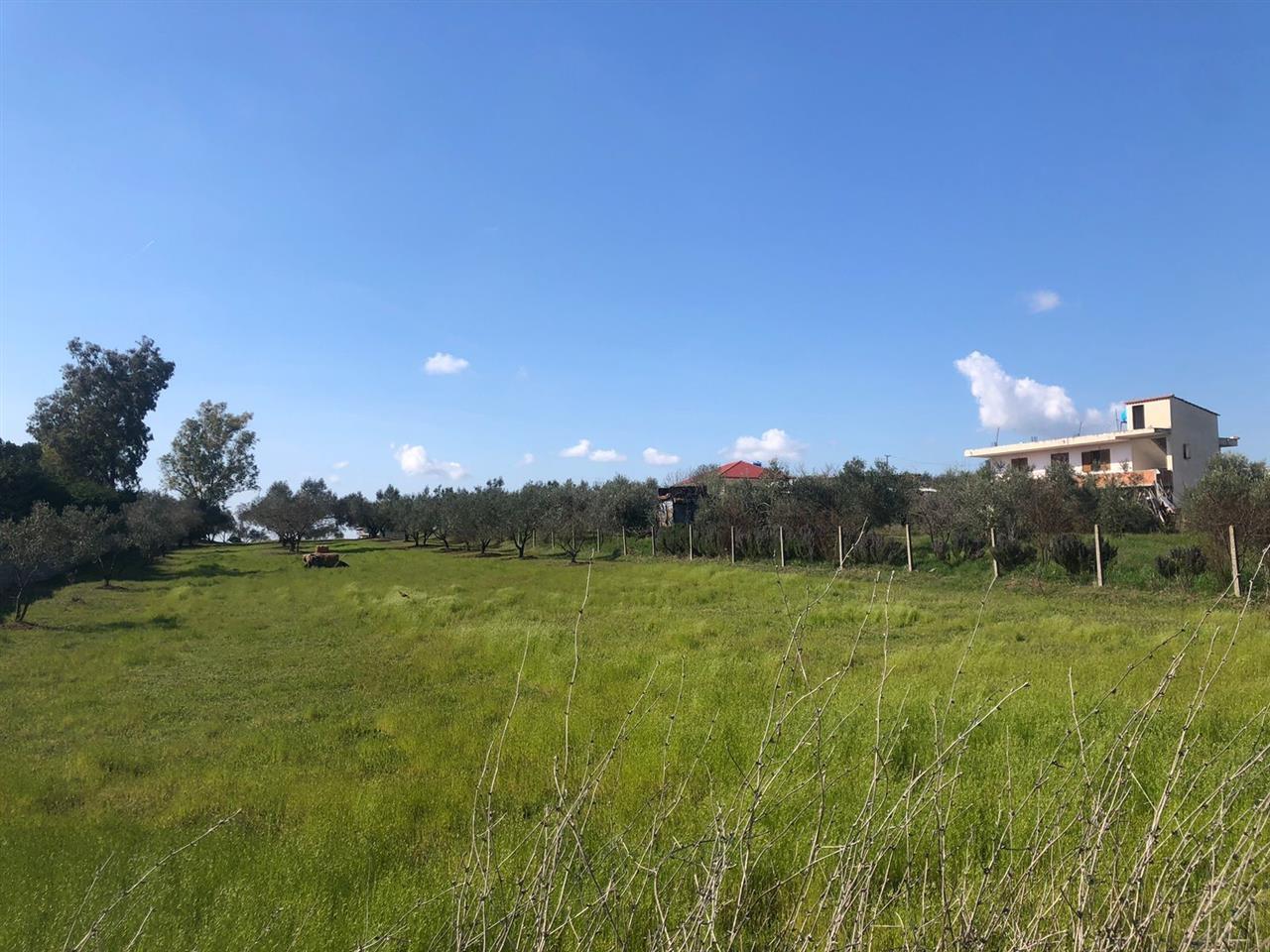 Shitet Toke Bujqesore +73 metra truall