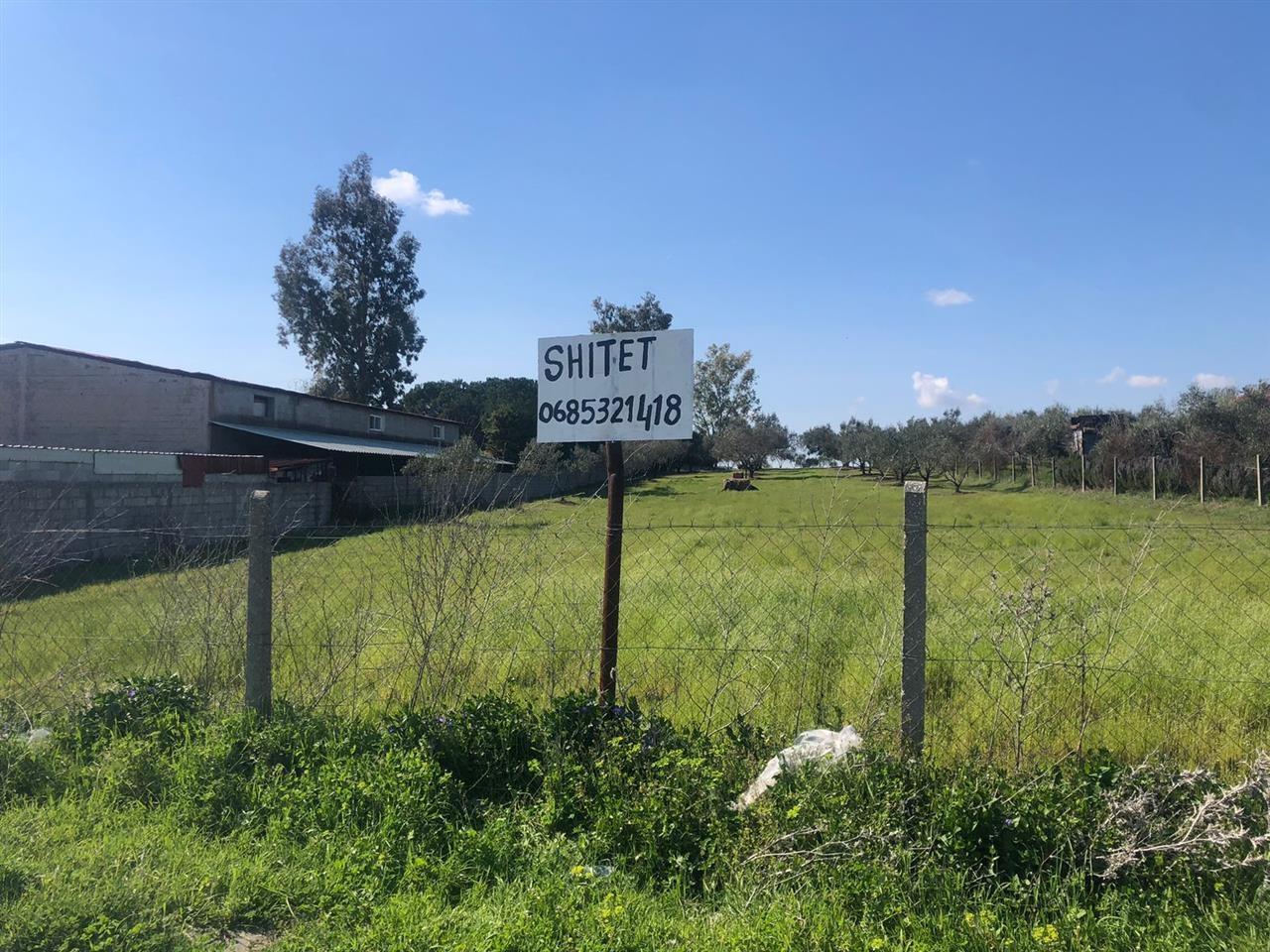 Shitet Toke Bujqesore +73 metra truall