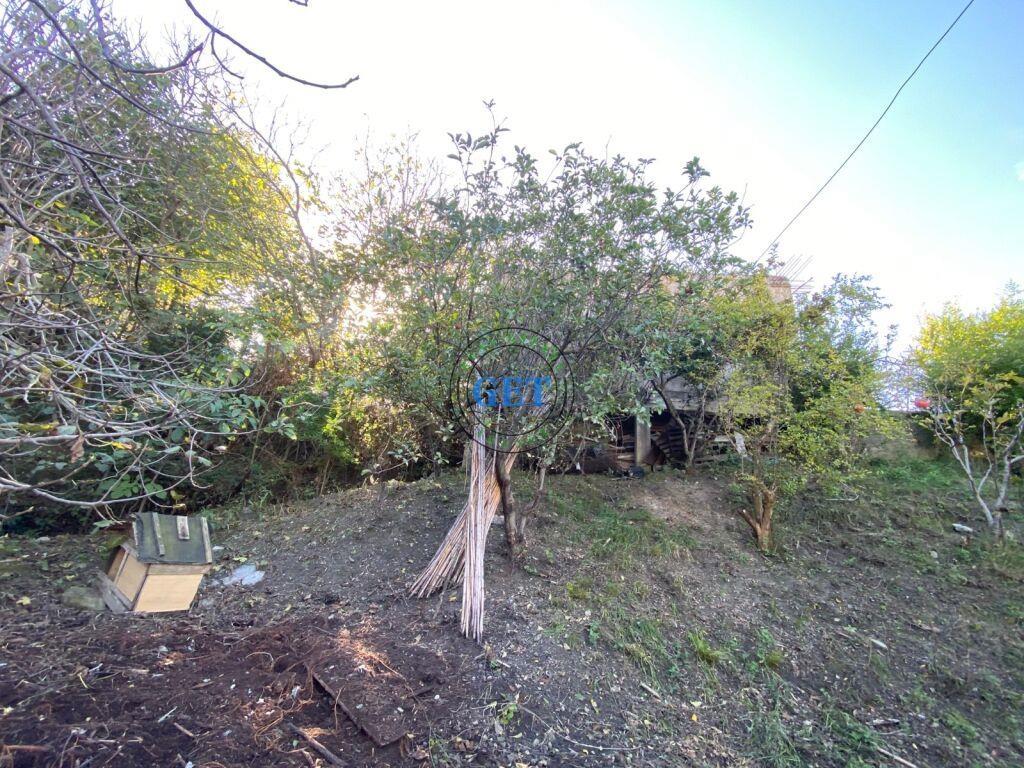 Shitet, Shtepi Private, Prane Shkolles “Hajdar Dushi”, Durre