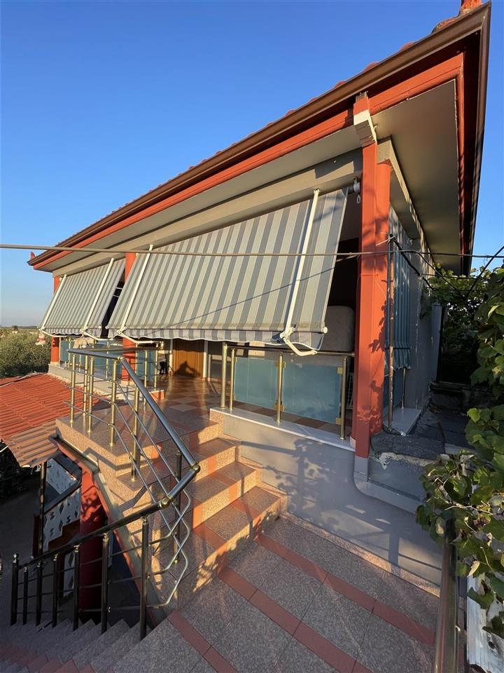 Vile 2 kateshe Patos