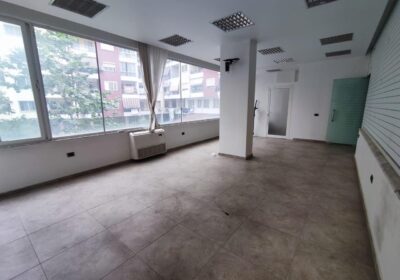 Ambient Biznesi SHITJE