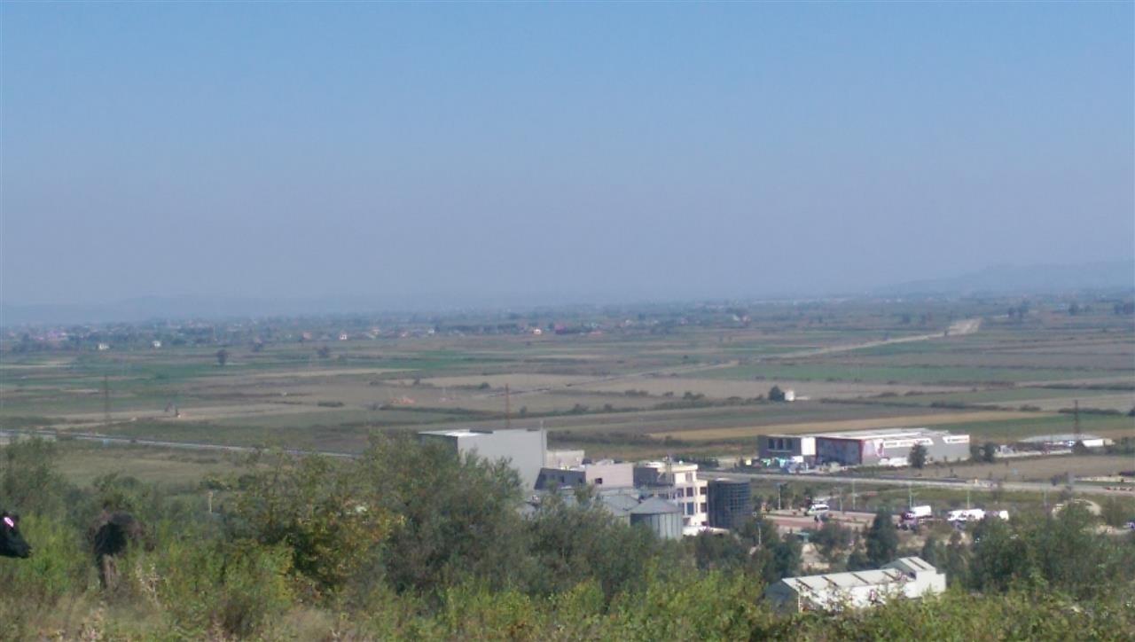 Truaje ullishte me sip te ndryshme