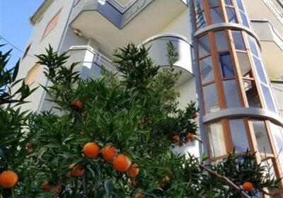 Jap me qera Vile 4 katëshe+papafingo+garazh, 3500 Euro/muaj