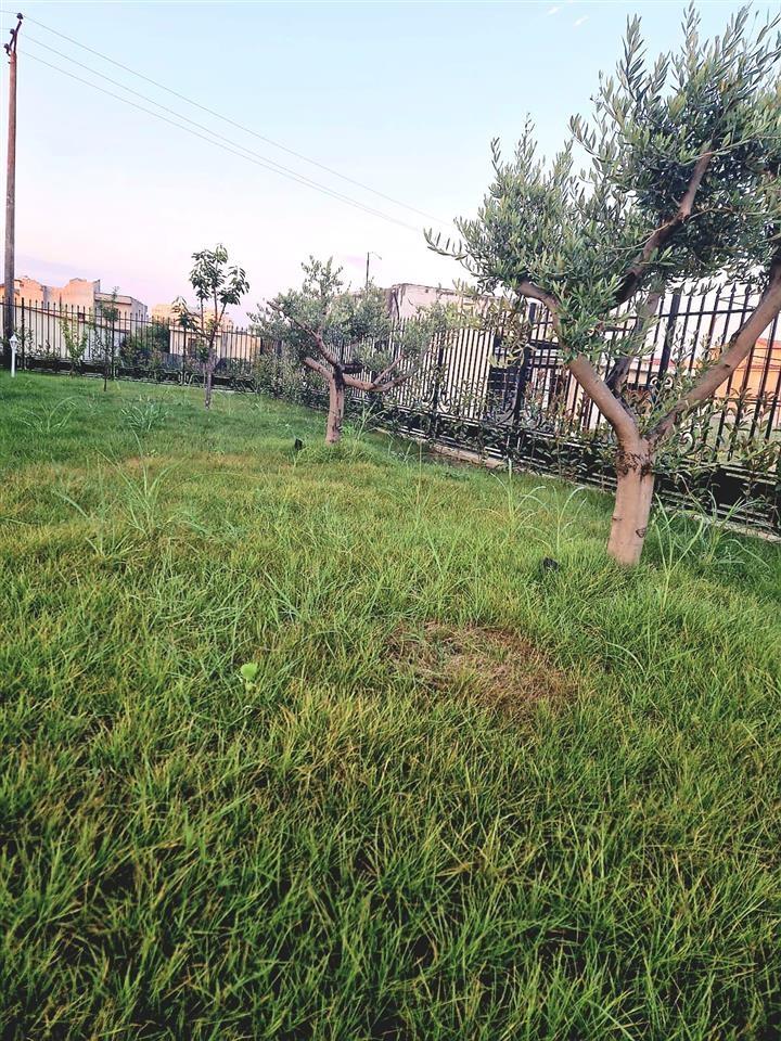 Vila luksoze,5 km nga plazhi Qerretit