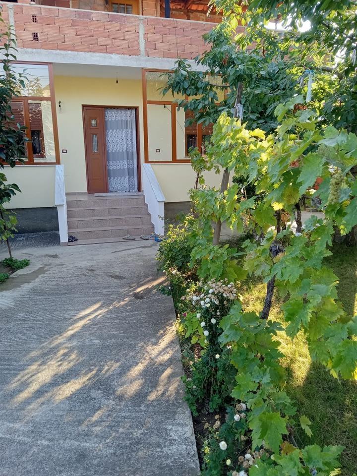 shitet shtepi cmim disk