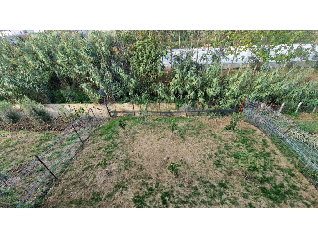 SHITET SHTEPI PRIVATE NE LAGJEN NR. 15 !