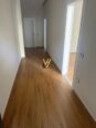 2+1+BLK TE FRESKU 129.000 EURO