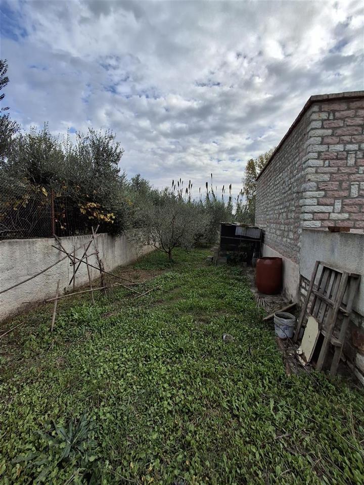 SHITET TOKE NE VRION, SARANDE (ARE+TRUALL)