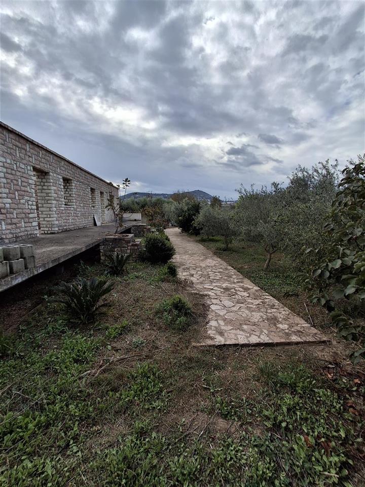 SHITET TOKE NE VRION, SARANDE (ARE+TRUALL)