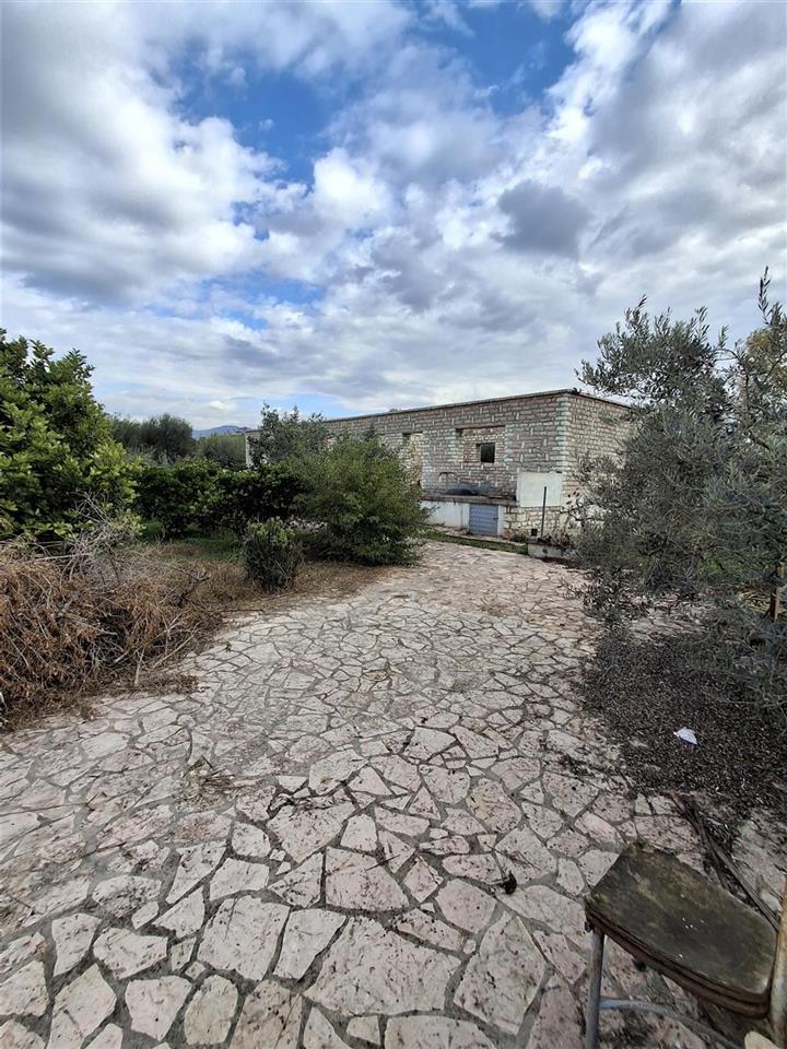 SHITET TOKE NE VRION, SARANDE (ARE+TRUALL)