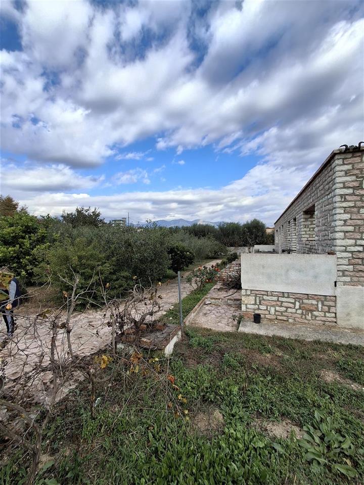 SHITET TOKE NE VRION, SARANDE (ARE+TRUALL)