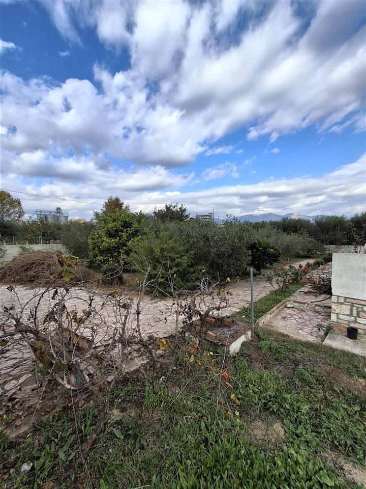 SHITET TOKE NE VRION, SARANDE (ARE+TRUALL)