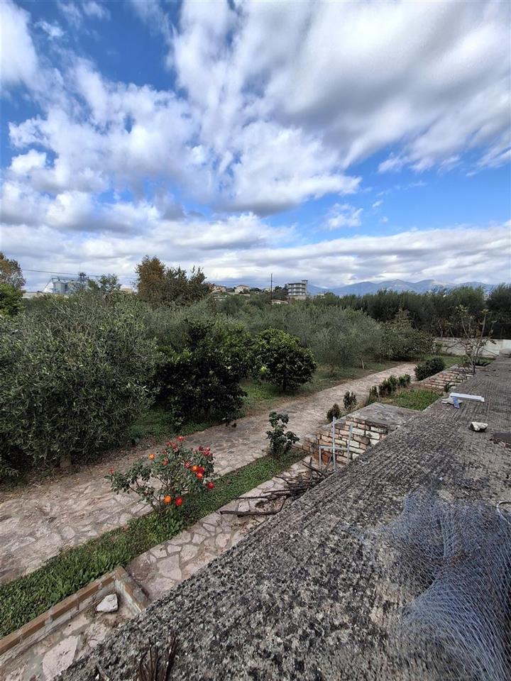 SHITET TOKE NE VRION, SARANDE (ARE+TRUALL)