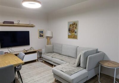 Apartment 1+1 mbas ministris se drejtesis