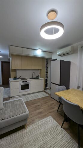 Apartment 1+1 mbas ministris se drejtesis