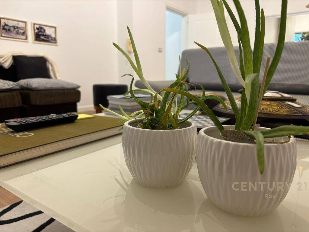 JEPET ME QIRA APARTAMENT 1+1 PRANE QENDRES TREGTARE BLUE STA