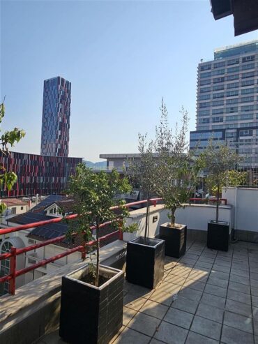 Shitet Penthouse tek Stadiumi, Air Albania, Rtsh,Coin!
