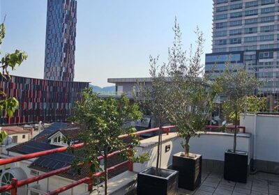 Shitet Penthouse tek Stadiumi, Air Albania, Rtsh,Coin!