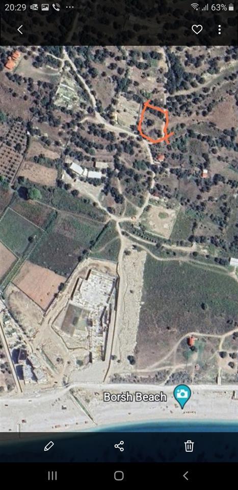 Shitet toke ne Borsh